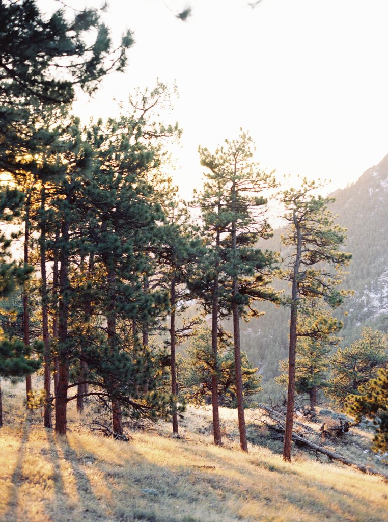 What Is A Target Date Fund