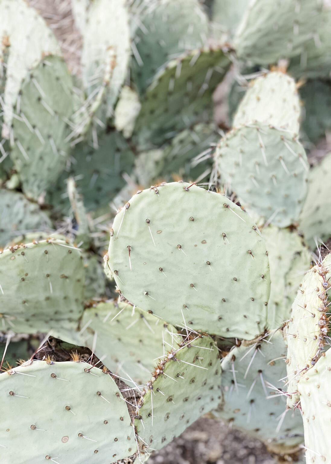 401(k) Vesting Explained: When Your Employer Match Is Really Yours