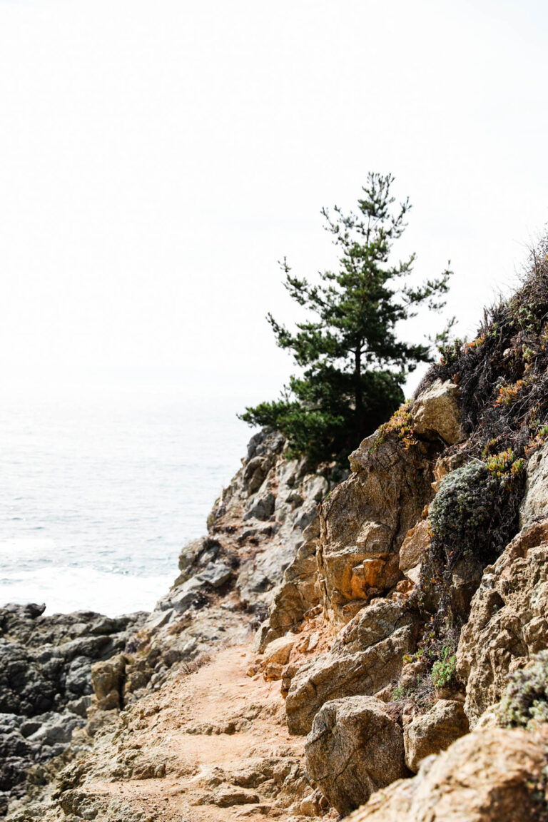 New Roth Rules for 2026