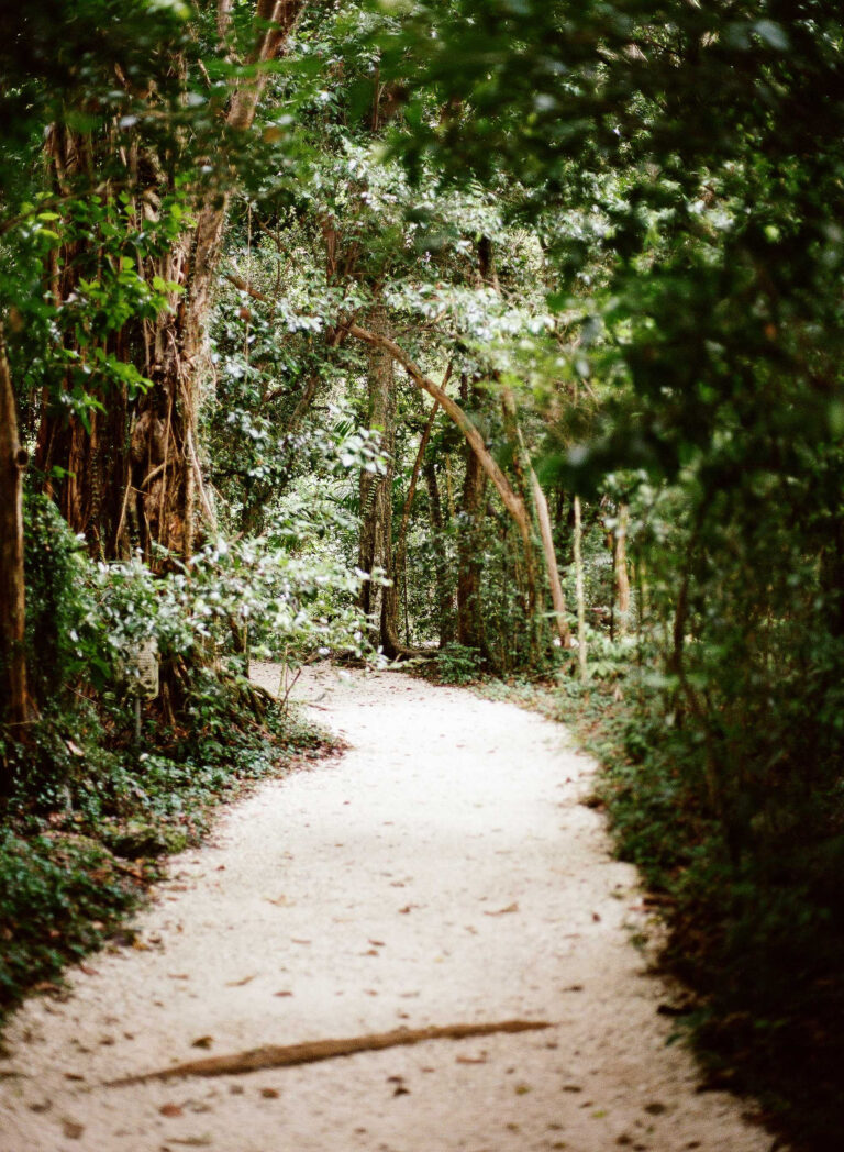 5 Powerful Ways a 401(k) Advisor Makes Life Easier for Employers (and Better for Employees)