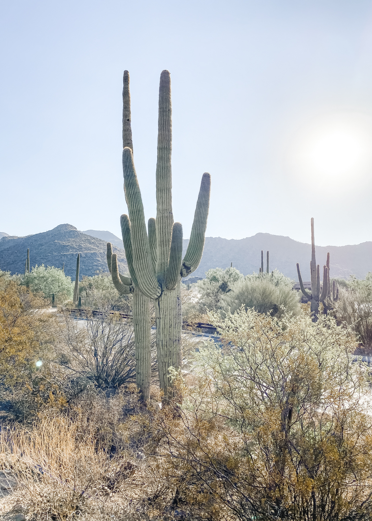 how to fix 401k plan mistakes