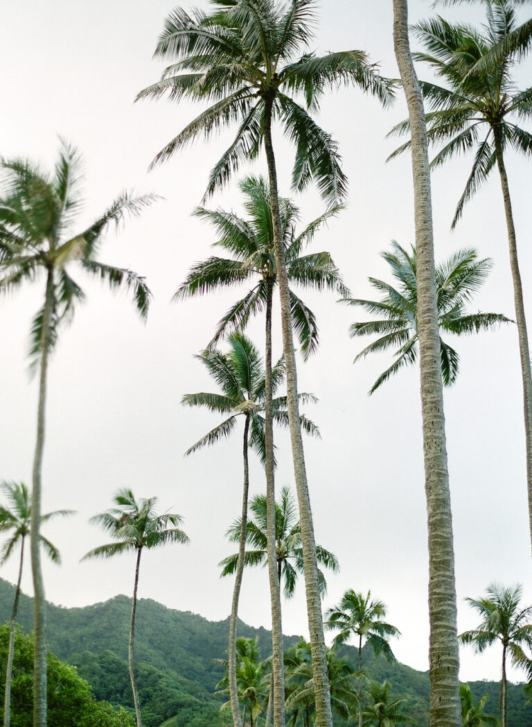 what is the difference between 3(16), 3(21), and 3(38) fiduciaries