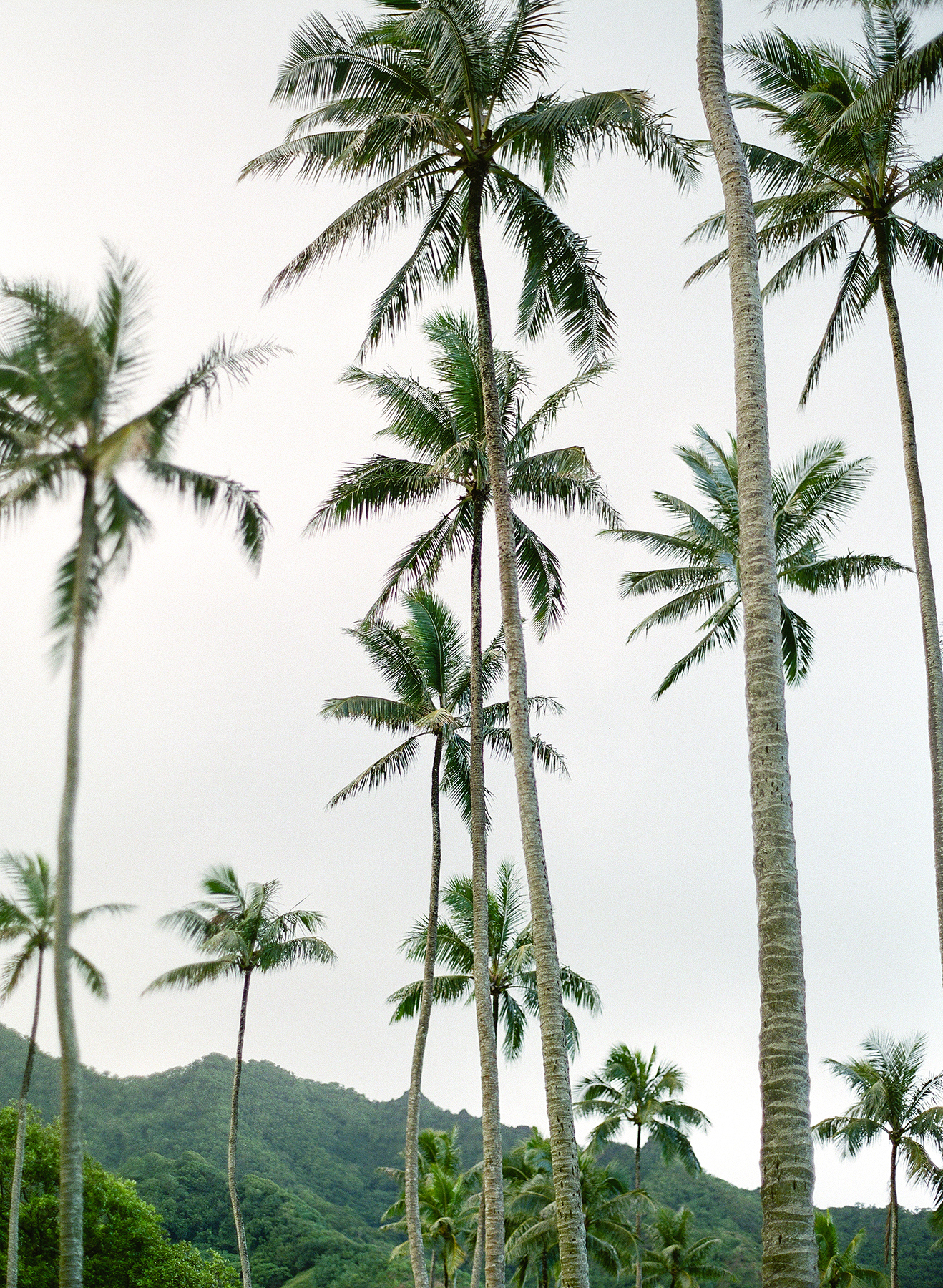 what is the difference between 3(16), 3(21), and 3(38) fiduciaries