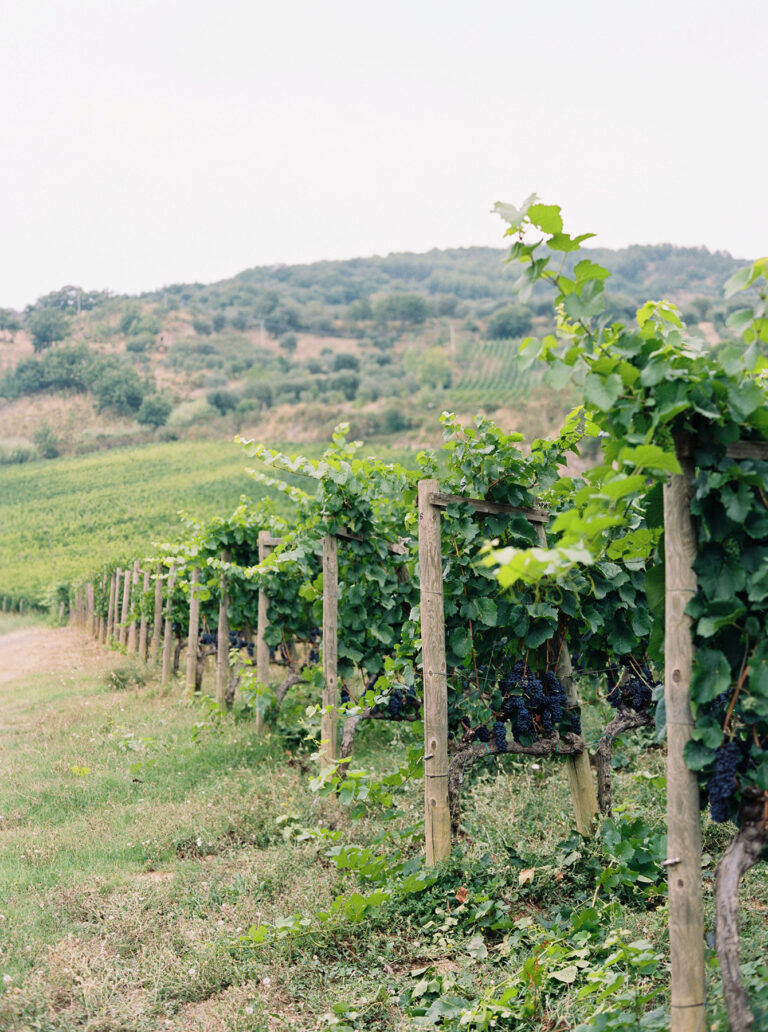 Top Mistakes Small Businesses Make When Starting a 401(k) Plan (and How to Avoid Them)